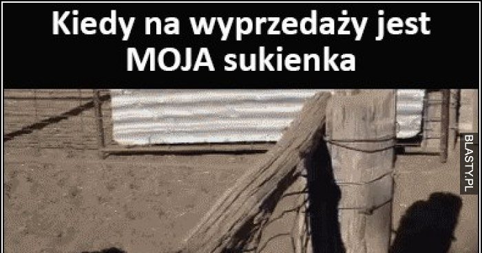 Kiedy Na Wyprzeda Y Jest Moja Sukienka Memy Gify I Mieszne Obrazki