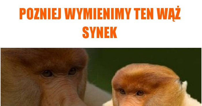 Pozniej Wymienimy Ten W Synek Memy Gify I Mieszne Obrazki Facebook