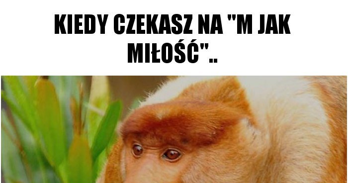 Kiedy Czekasz Na M Jak Mi O Memy Gify I Mieszne Obrazki Facebook