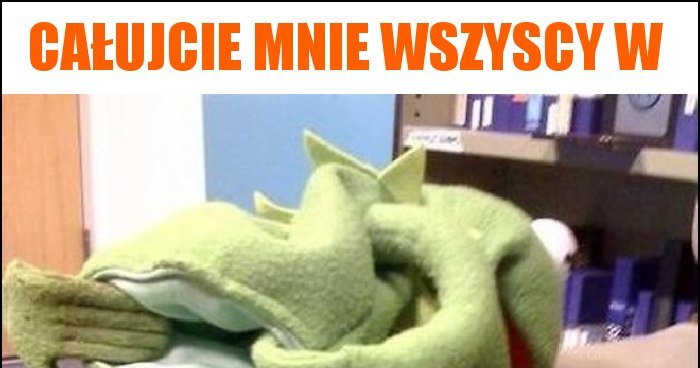 Całujcie mnie wszyscy w memy gify i śmieszne obrazki facebook tapety