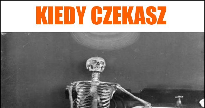 Kiedy Czekasz Memy Gify I Mieszne Obrazki Facebook Tapety