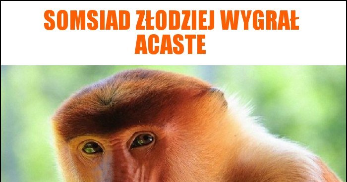 Somsiad Z Odziej Wygra Acaste Memy Gify I Mieszne Obrazki Facebook