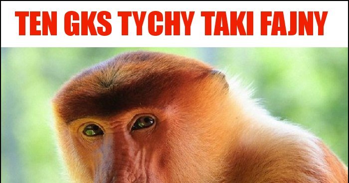 Ten Gks Tychy Taki Fajny Memy Gify I Mieszne Obrazki Facebook Tapety