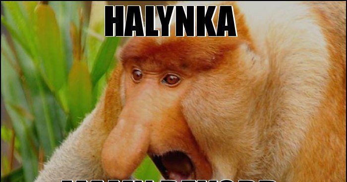 Halynka Memy Gify I Mieszne Obrazki Facebook Tapety Demotywatory