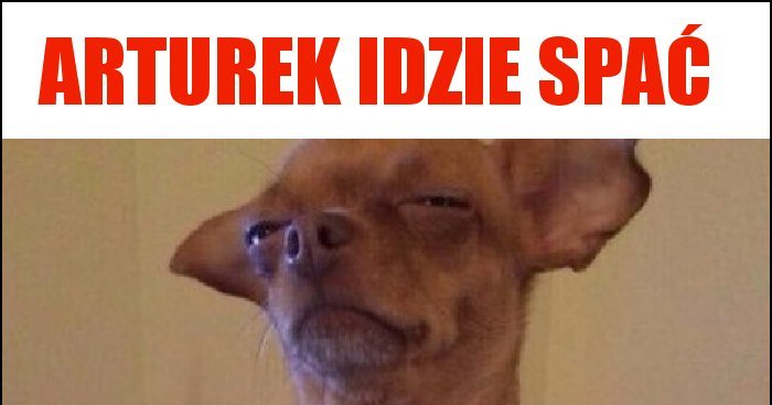 Arturek idzie spać memy gify i śmieszne obrazki facebook tapety