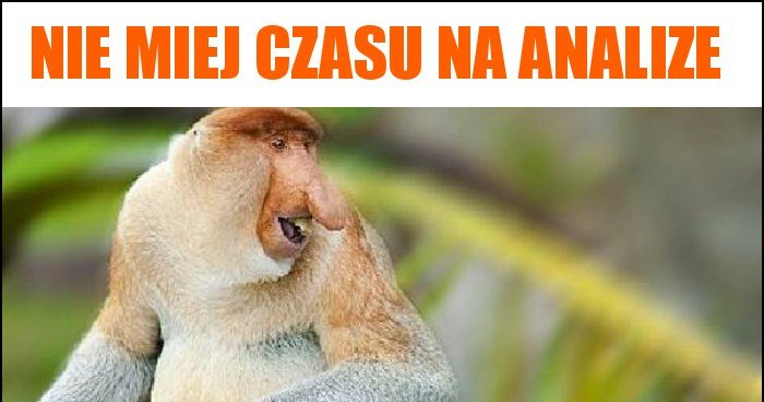 Nie miej czasu na analize memy gify i śmieszne obrazki facebook