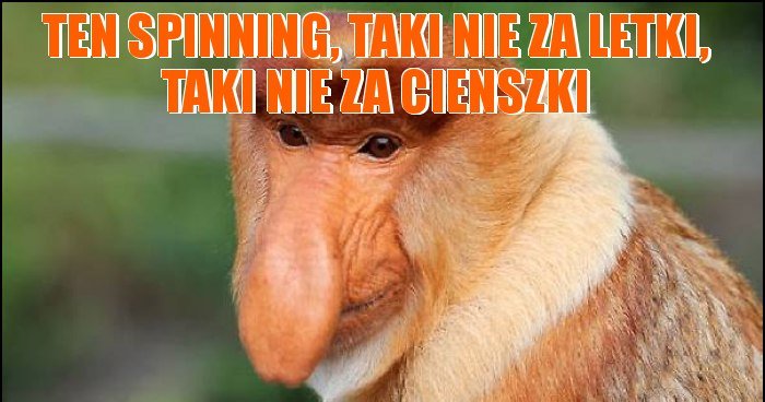 TEN SPINNING TAKI NIE ZA LETKI TAKI NIE ZA CIENSZKI Memy Gify I