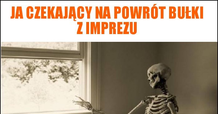 Ja Czekaj Cy Na Powr T Bu Ki Z Imprezu Memy Gify I Mieszne Obrazki