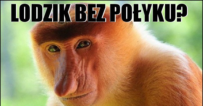 Lodzik Bez Po Yku Memy Gify I Mieszne Obrazki Facebook Tapety