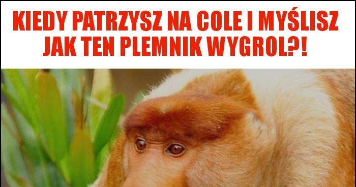 Kiedy Patrzysz Na Cole I My Lisz Jak Ten Plemnik Wygrol Memy Gify I