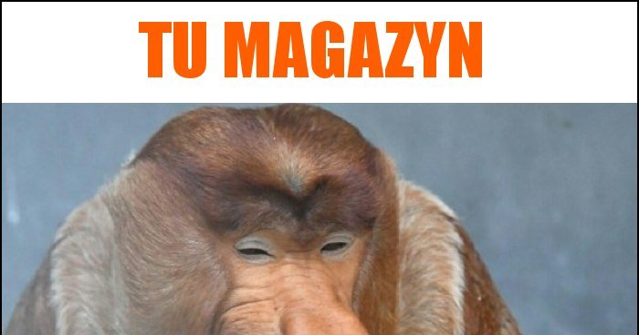 Tu Magazyn Memy Gify I Mieszne Obrazki Facebook Tapety Demotywatory