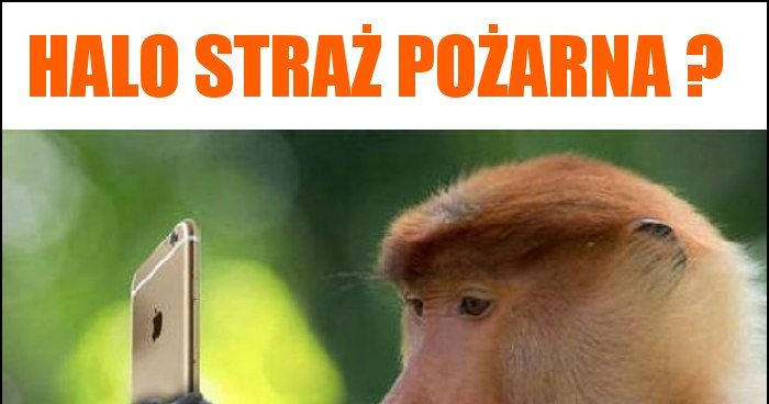 Halo Stra Po Arna Memy Gify I Mieszne Obrazki Facebook Tapety