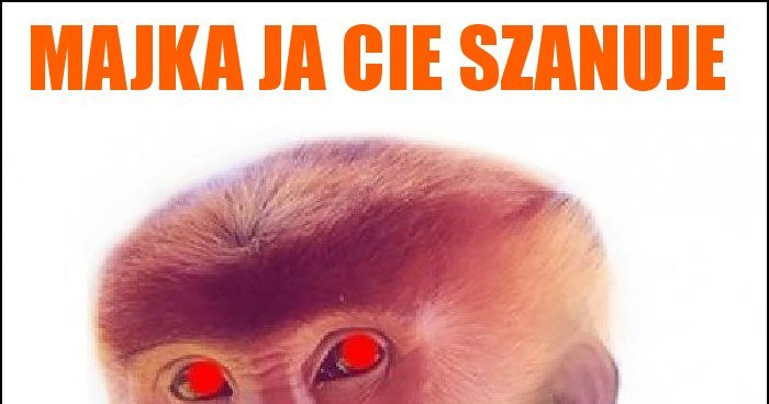 MAJKA JA CIE SZANUJE memy gify i śmieszne obrazki facebook tapety