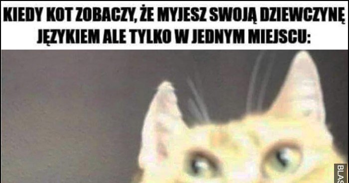 Kiedy Kot Zobaczy E Myjesz Swoj Dziewczyn J Zykiem Ale Tylko W