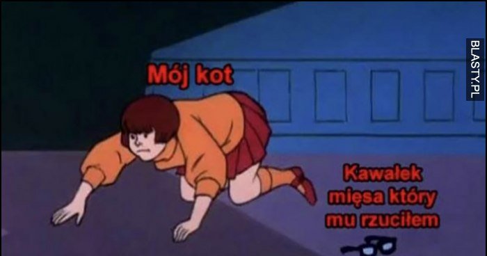 Mój kot vs kawałek mięsa który mu rzuciłem Scooby doo Velma nie może