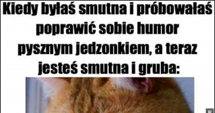 Kot kotek kiedy byłaś smutna i próbowałaś poprawić sobie humor pysznym