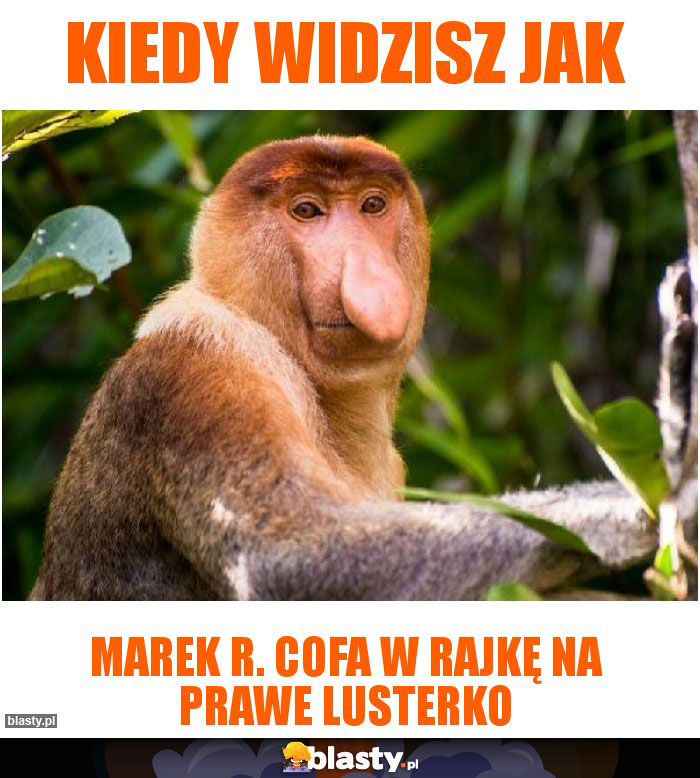 Kiedy Widzisz Jak Memy Gify I Mieszne Obrazki Facebook Tapety