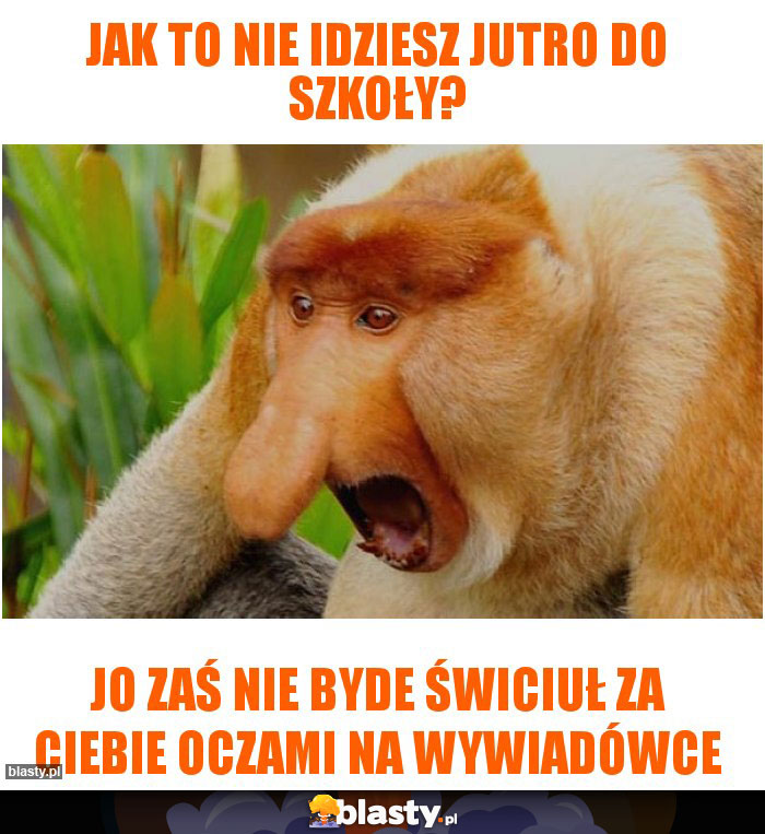 Jak To Nie Idziesz Jutro Do Szko Y Memy Gify I Mieszne Obrazki