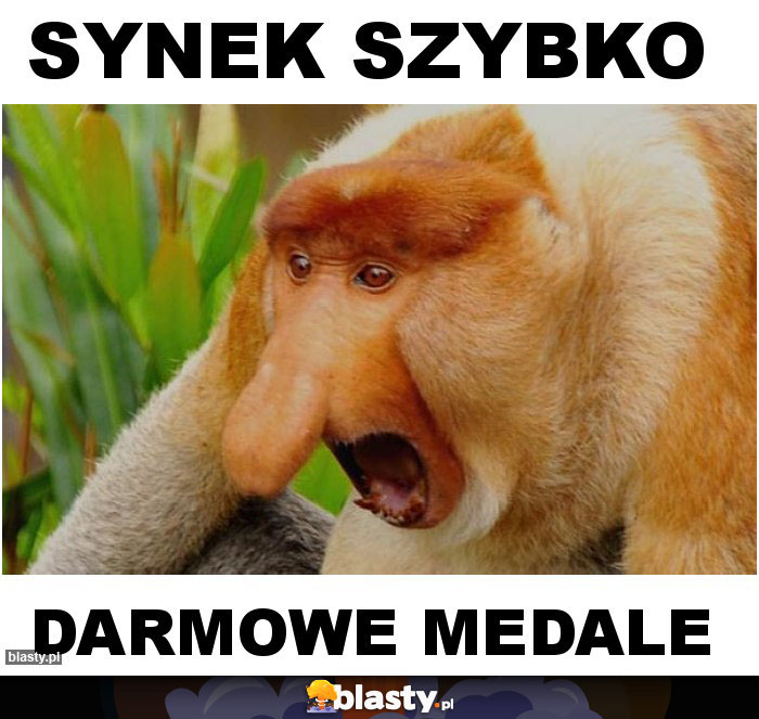 Synek szybko memy gify i śmieszne obrazki facebook tapety