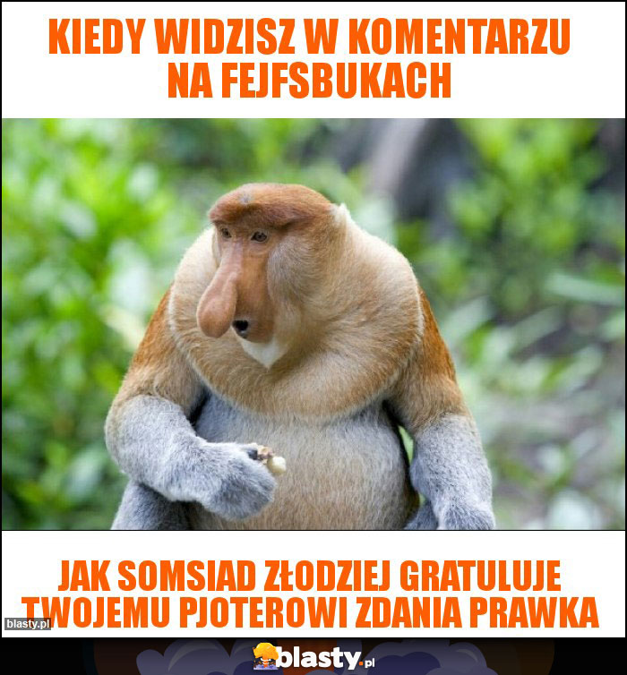 Kiedy Widzisz W Komentarzu Na Fejfsbukach Memy Gify I Mieszne Obrazki