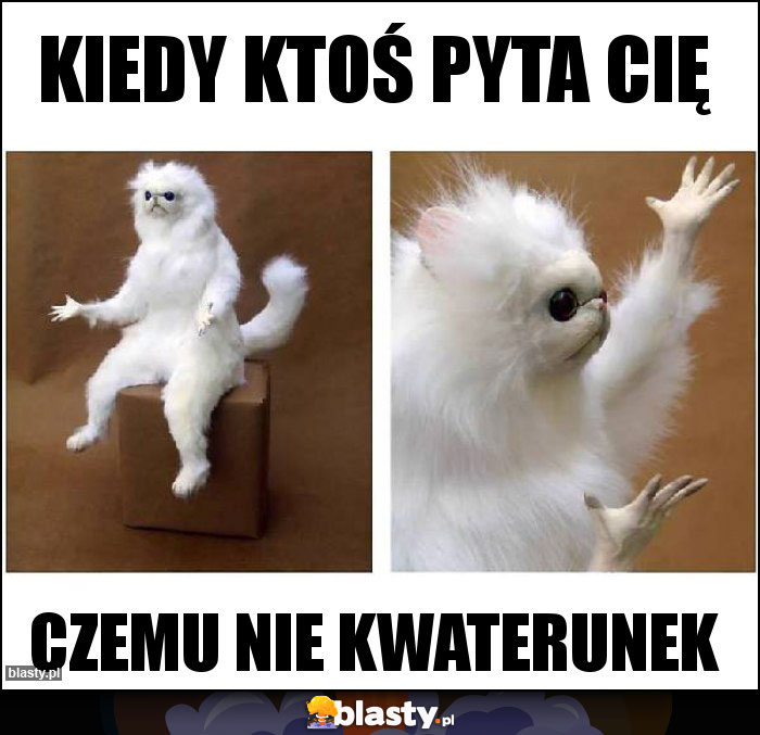 Kiedy ktoś pyta cię memy gify i śmieszne obrazki facebook tapety