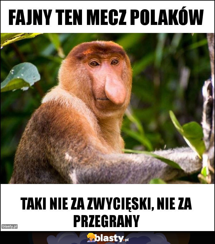 Fajny ten mecz polaków memy gify i śmieszne obrazki facebook tapety