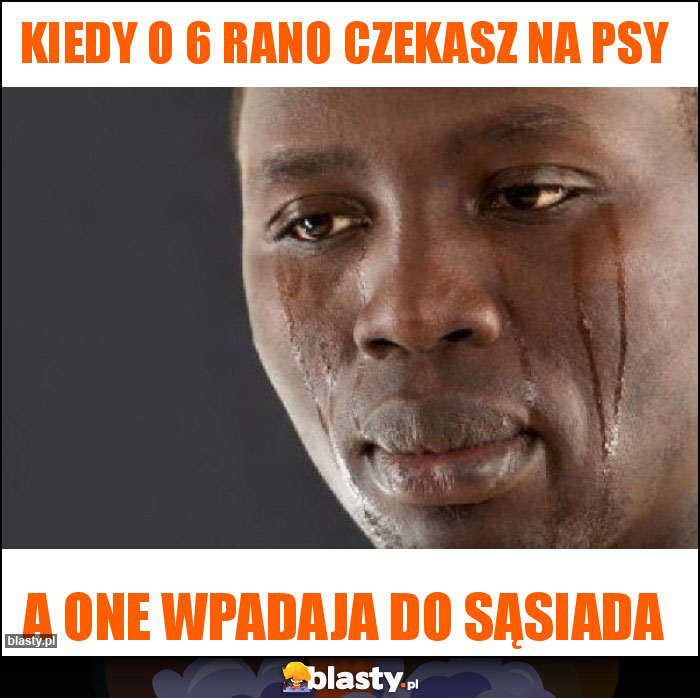 Kiedy O Rano Czekasz Na Psy Memy Gify I Mieszne Obrazki Facebook