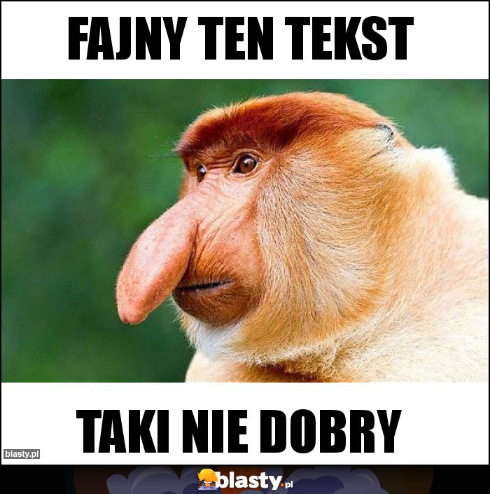 FAJNY TEN TEKST memy gify i śmieszne obrazki facebook tapety