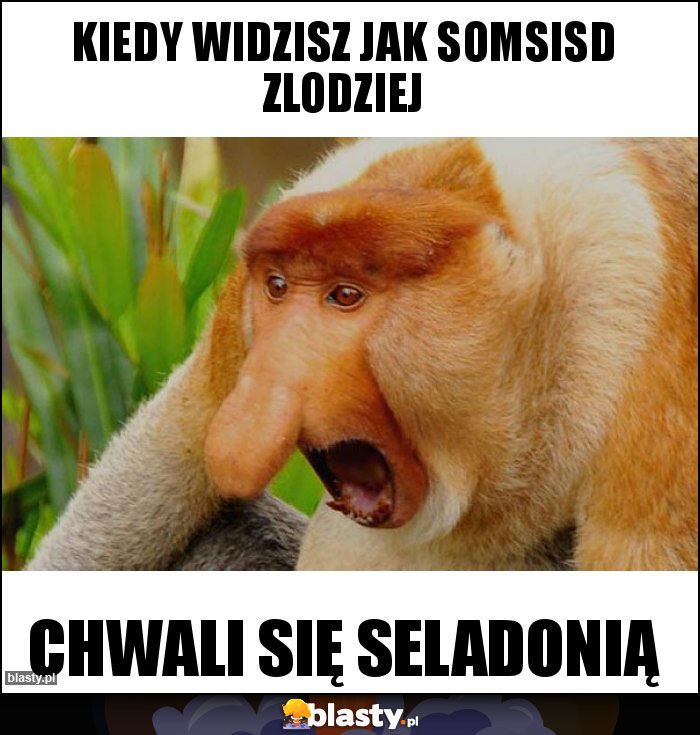 Kiedy widzisz jak somsisd zlodziej memy gify i śmieszne obrazki