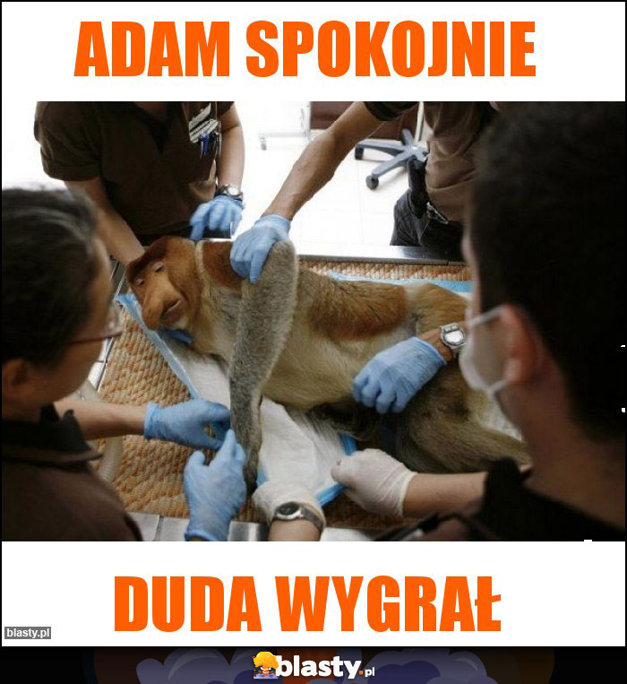 Adam Spokojnie Memy Gify I Mieszne Obrazki Facebook Tapety