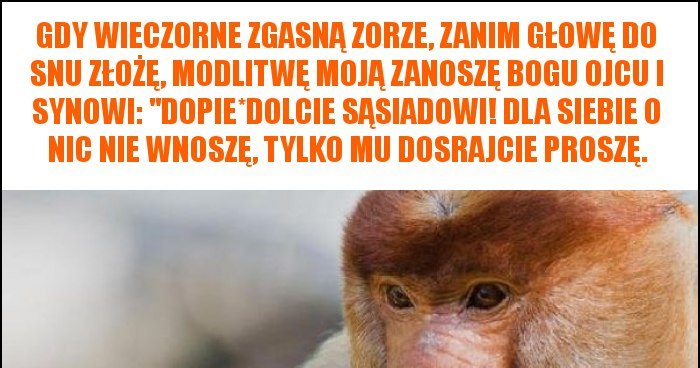 Gdy Wieczorne Zgasna Zorze Zanim Glowe Do Snu Zloze Modlitwe Moja Zanosze Bogu Ojcu I Synowi Dopie Dolcie Sasiadowi Dla Siebie O Nic Nie Wnosze Tylko Mu Dosrajcie Prosze Memy Gify I Smieszne