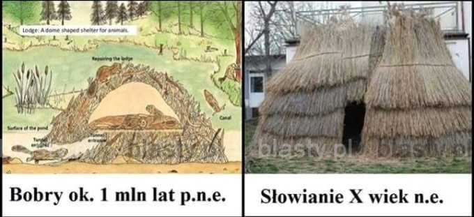 Bobry vs słowianie