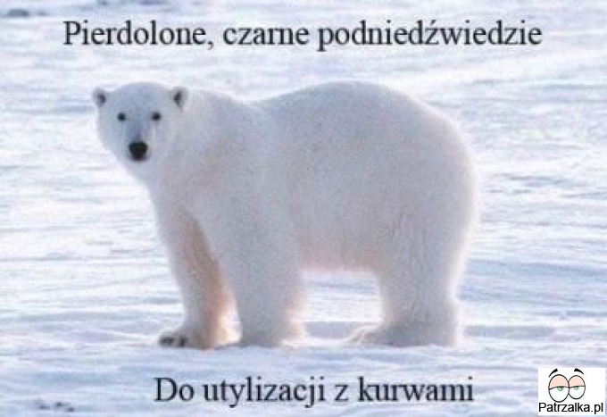 Czarne podniedźwiedzie
