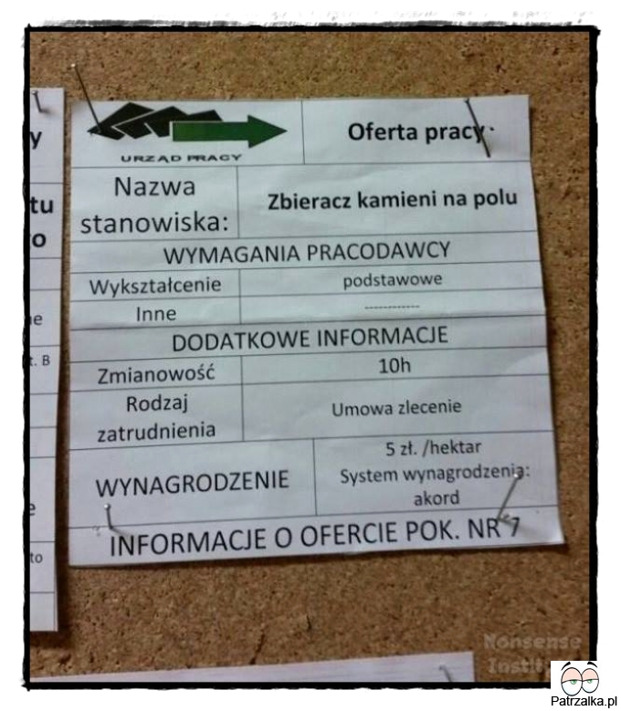 Czy Ty też szukasz swojej wymarzonej pracy