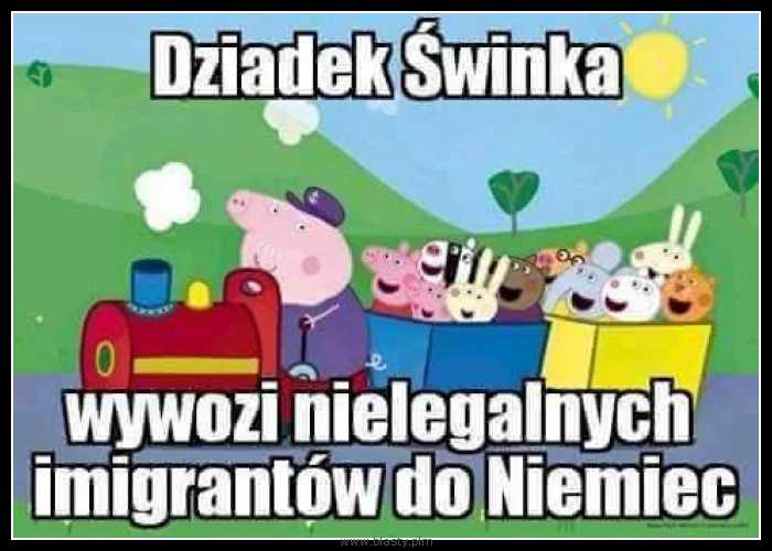 Dziadek świnka wywozi nielegalnych imigrantów do niemiec