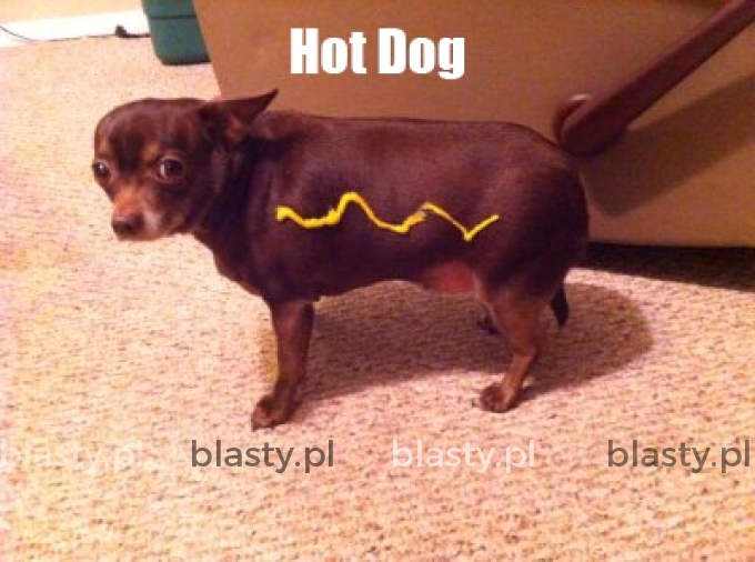 Hot dog