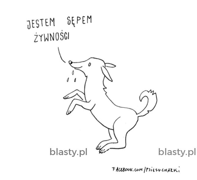 Jestem sępem żywności