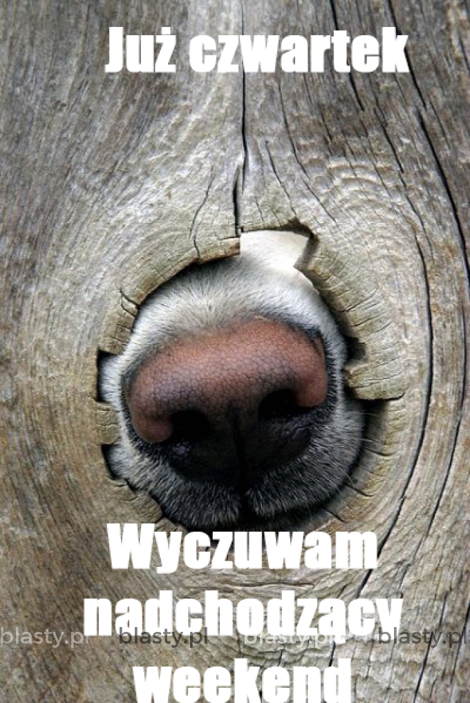 Już czwartek wyczuwam nadchodzący weekend