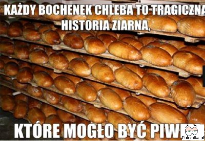 Każdy bochenek chleba to tragiczna historia ziarna, które mogło być piwem