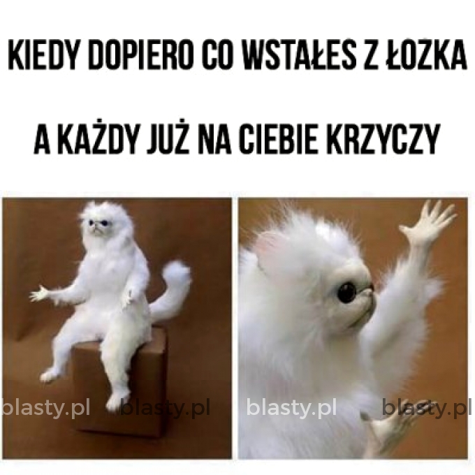 Kiedy dopiero co wstałeś z łóżka a każdy już na Ciebie krzyczy