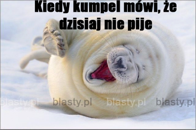 Kiedy kumpel mówi, że dzisiaj nie pije