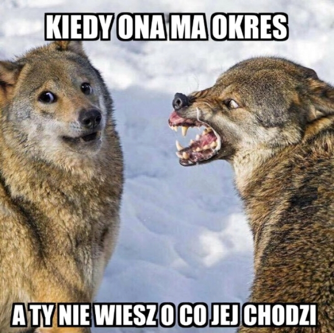 Kiedy ona ma okres a Ty nie wiesz o co jej chodzi