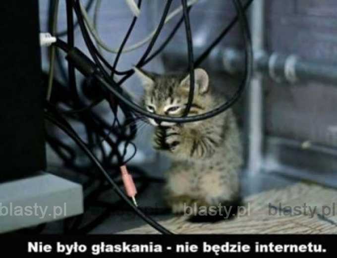 Nie było głaskania nie będzie internetu