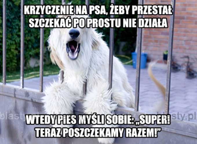 Poszczekajmy razem.