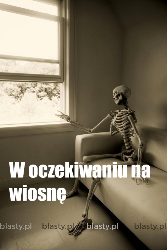 W oczekiwaniu na wiosnę