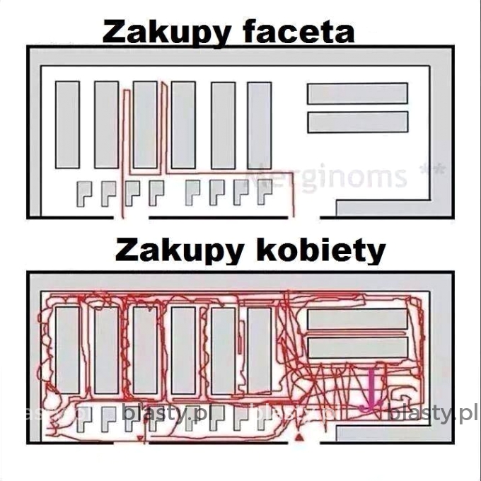 Zakupy faceta vs zakupy kobiety