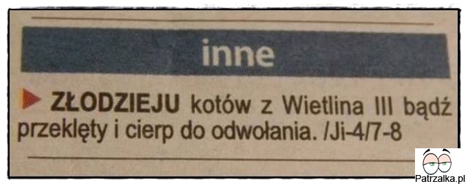 Złodzieju kotów miej się na baczności