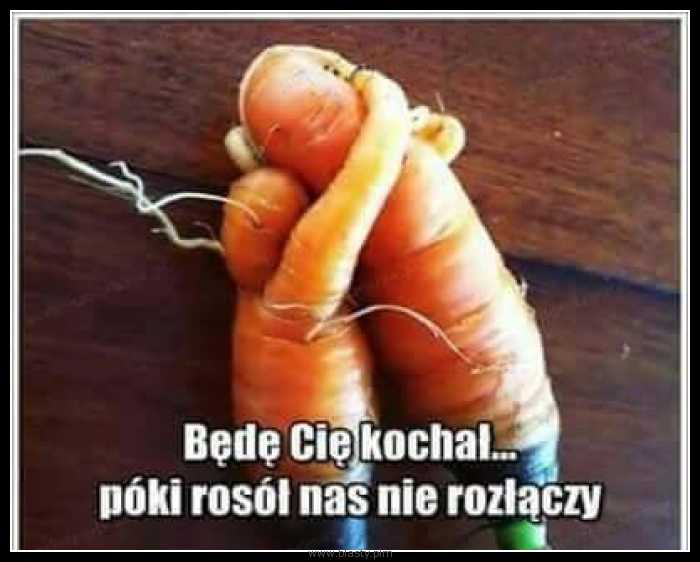 Będę Cie kochał do póki rosół nas nie rozłączy