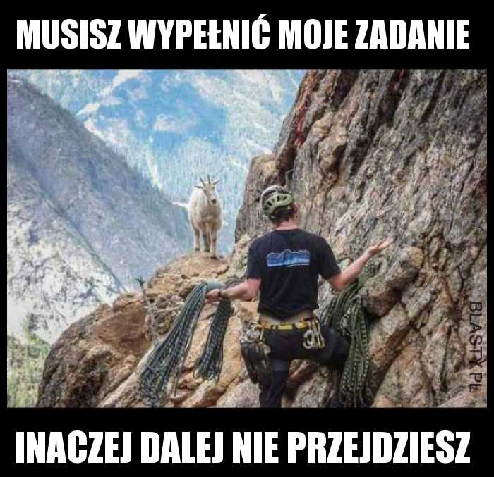 Chyba dostane questa