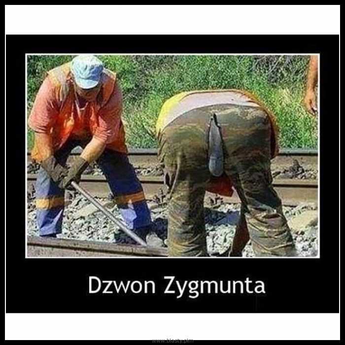 Dzwon Zygmunta